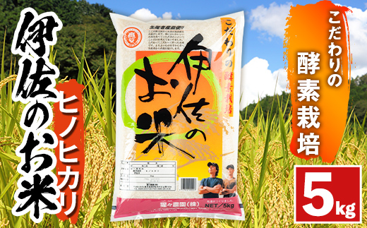 A0-30 ＜数量限定＞令和7年産 新米 伊佐のお米 ヒノヒカリ (5kg) 国産 米 白米 お米 ご飯 精米 薩摩の米蔵 伊佐米 ひのひかり 酵素栽培 【猩々農園】