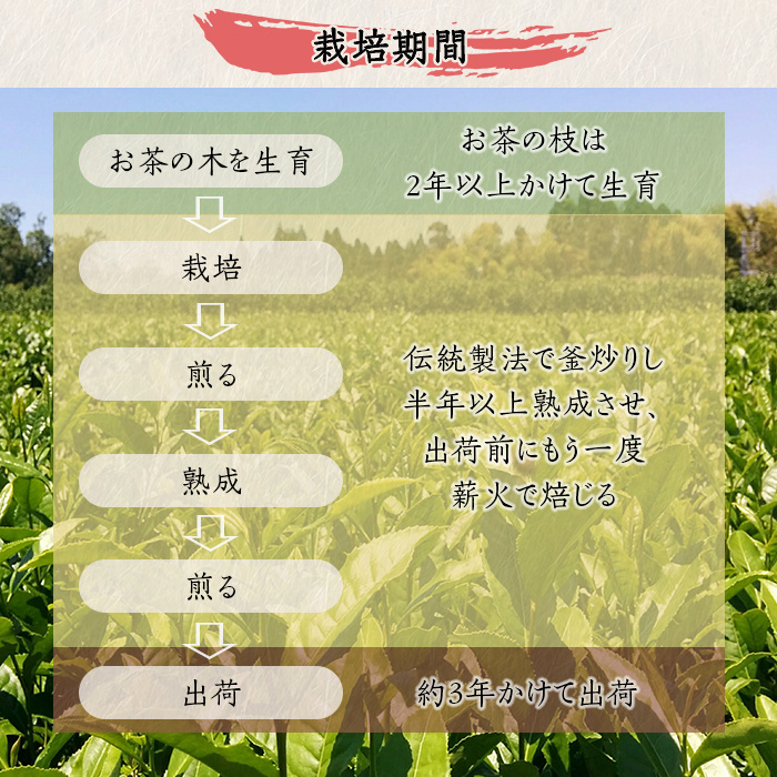 isa347 食養番茶＜薪火寒茶＞(計960g・120g×8袋)薪火で焙りあげたお茶！【大口食養村】