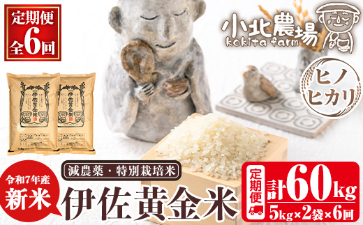 isa792 《数量限定・6回定期便》令和7年産 小北農場の新米 伊佐黄金米〈ヒノヒカリ〉(計60kg・5kg×2袋×6回) 鹿児島 伊佐 新米 お米 60kg 定期便 6回 特別栽培米 伊佐米 白米 ヒノヒカリ ひのひかり おにぎり ごはん  【小北農場】