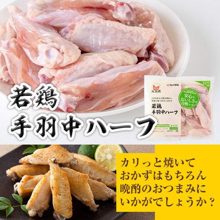 isa490 南国元気鶏セット(合計1.55kg・5種)【マルイ食品】