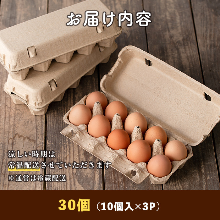 A0-07 ãã¡ã蟲åã®ãã ããåµ(èš30åã»10åå
¥ãÃ3ããã¯) èªç¶è±ããªäŒäœã§è²ãŠã平飌ãé¶ã®äœã³ã¬ã¹ãããŒã«åµïŒæçç©è³ªäžäœ¿çšïŒããã¡ã蟲åã