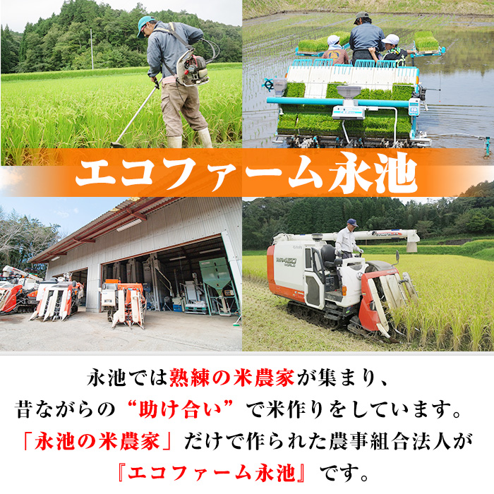 H4-01 【定期便】令和5年産 特別栽培米 伊佐米永池ひのひかり(計60kg・10kg×6ヶ月)【エコファーム永池】