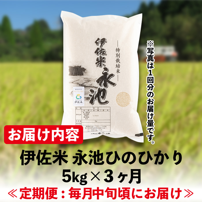 isa540 【定期便】令和6年産 新米 特別栽培米 伊佐米永池ひのひかり(計15kg・5kg×3ヶ月)【エコファーム永池】