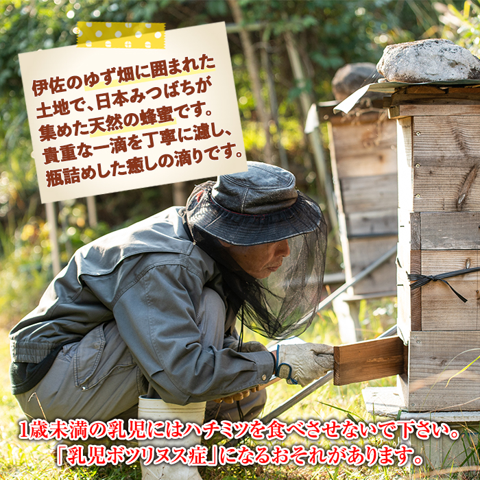 B0-05 ＜数量限定＞伊佐の垂らし蜜(390g・130g×3個) 野生種日本ミツバチが集めた貴重な蜂蜜！ゆず畑に囲まれた地域で採れた爽やかな味わいのハチミツ【ゆず香房】