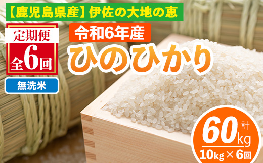 isa520-B 【定期便6回】 ＜無洗米＞令和6年産 鹿児島県伊佐南浦産ひのひかり (合計60kg・計10kg×6ヵ月)【Farm-K】