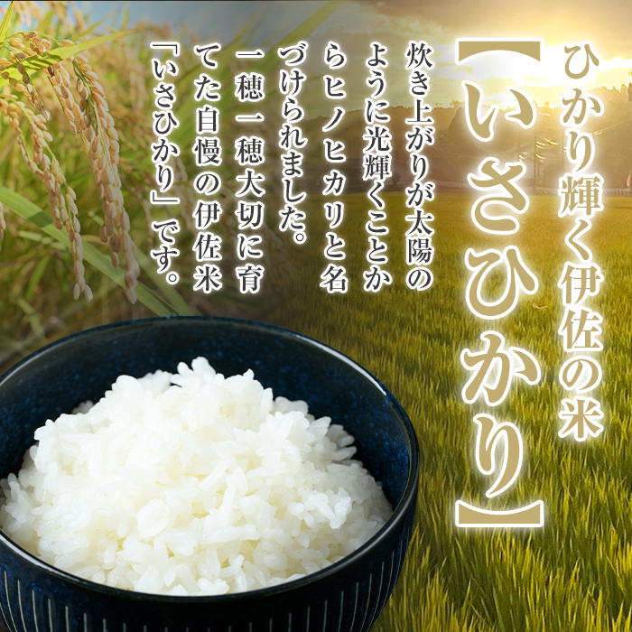 A7-03 いさひかり(5kg×2袋・計10kg) ふるさと納税 伊佐市 特産品 お米 米 白米 精米 伊佐米 ご飯 ヒノヒカリ【JA北さつま】