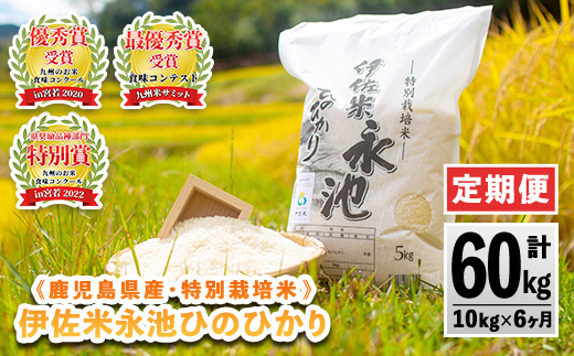 H4-01 【定期便】令和5年産 特別栽培米 伊佐米永池ひのひかり(計60kg・10kg×6ヶ月)【エコファーム永池】