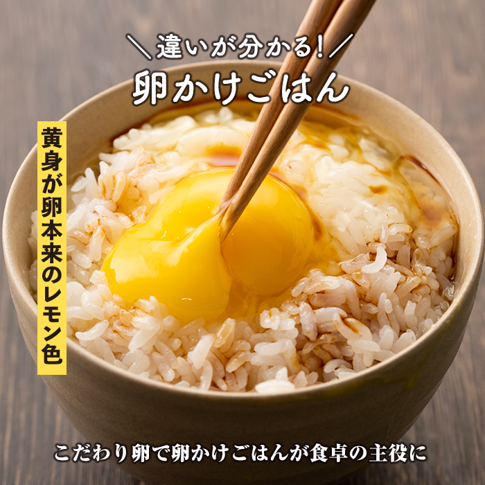 A0-07 いちき農園のこだわり卵(計30個・10個入り×3パック) 自然豊かな伊佐で育てた平飼い鶏の低コレステロール卵！抗生物質不使用！【いちき農園】