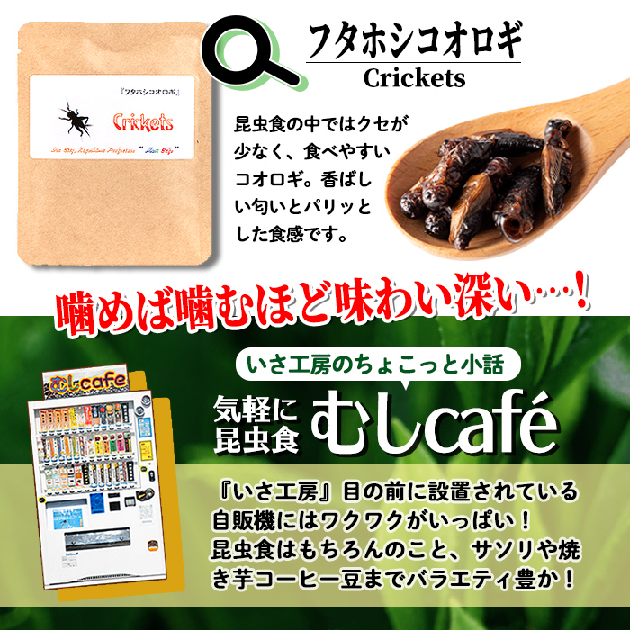 isa385 むしカフェ・昆虫食べ比べ3種！(各種3g)フタホシコオロギ・イナゴ・オケラ【いさ工房】