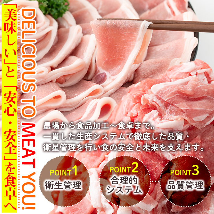 isa486 鹿児島県産黒豚粗挽きウインナー(計1.3kg以上・8本(150g)×9P)【コワダヤ】