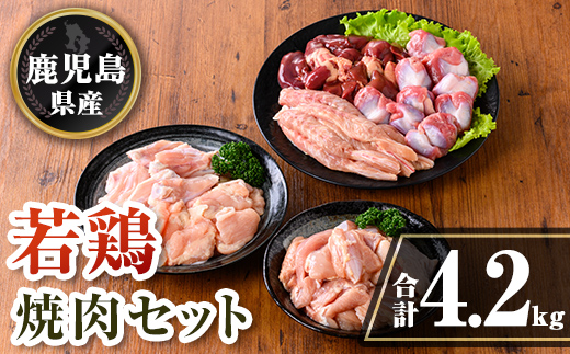 isa726 鹿児島県産 若鶏焼肉セット (合計4.2kg) 鹿児島県産 小分け 真空パック 鶏肉 鳥肉 もも肉 モモ肉 砂肝 肝 手羽中 肩肉 小肉 焼き肉 焼肉 セット 詰め合わせ 冷凍 【TRINITY】