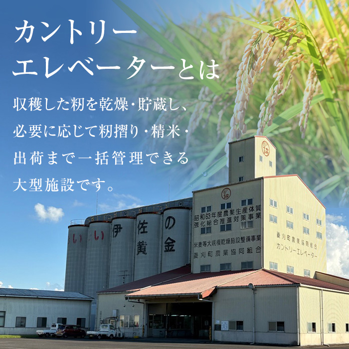 A6-02 いさひかり無洗米(5kg×2袋・計10kg) ふるさと納税 伊佐市 特産品 お米 米 白米 精米 伊佐米 ご飯 ヒノヒカリ 無洗米【JA北さつま】