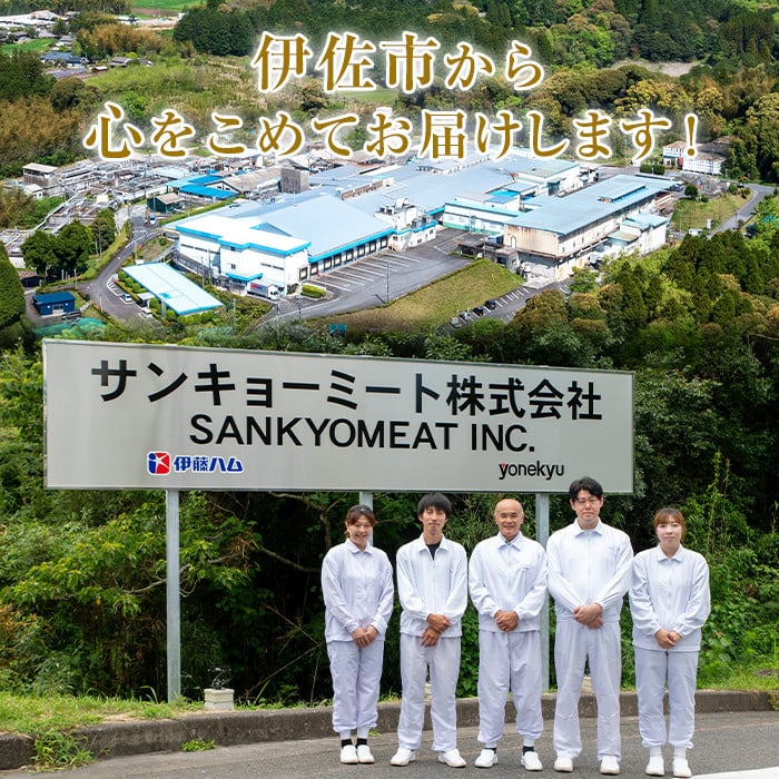 isa684 【定期便3回】〈訳あり〉鹿児島黒豚定期便(合計2.52kg・840g×全3回)  真空包装 真空パック トンカツ ロース 肩 トンテキ 豚 ぶた 豚肉 アウトドア 食べ比べ BBQ 【サンキョーミート株式会社】