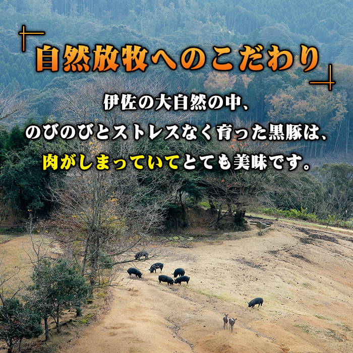 A3-01 鹿児島県産！幻の黒・沖田の黒豚(計900g・ロース、肩ロース、バラ、モモ、ウデいずれか3パック) 自然放牧・自家製飼料で大切に育てられた黒豚肉【沖田黒豚牧場】