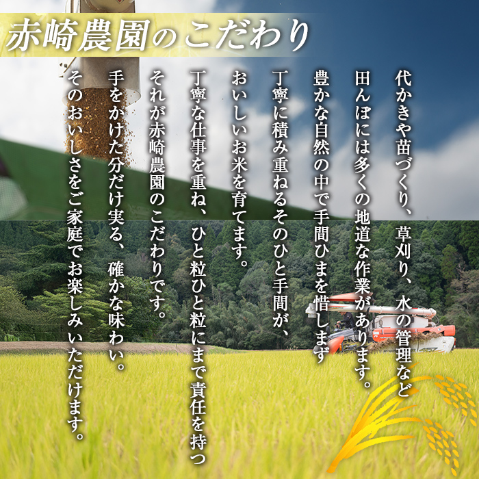 isa845 鹿å
å³¶çç£ã²ã®ã²ããã»ããã»ãªã¿é£ã¹æ¯ã¹ã»ãã(å5kgã»åèš10kg) åœç£ 鹿å
å³¶ç ç±³ ãç±³ çœç±³ äŒäœç±³ ã²ã®ã²ãã ããã»ãªã¿ é£ã¹æ¯ã¹ ã»ãã ãèµ€åŽèŸ²åã