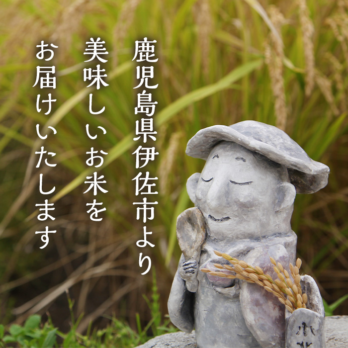 isa792 《数量限定・6回定期便》令和7年産 小北農場のお米 伊佐黄金米〈ヒノヒカリ〉(計60kg・5kg×2袋×6回) 鹿児島 伊佐 お米 60kg 定期便 6回 特別栽培米 伊佐米 白米 ヒノヒカリ ひのひかり おにぎり ごはん  【小北農場】