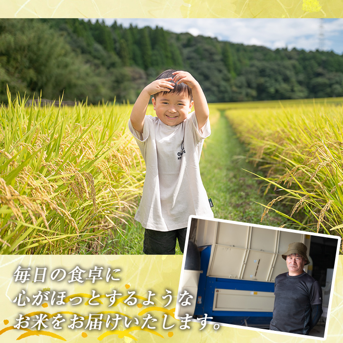 isa845 鹿å
å³¶çç£ã²ã®ã²ããã»ããã»ãªã¿é£ã¹æ¯ã¹ã»ãã(å5kgã»åèš10kg) åœç£ 鹿å
å³¶ç ç±³ ãç±³ çœç±³ äŒäœç±³ ã²ã®ã²ãã ããã»ãªã¿ é£ã¹æ¯ã¹ ã»ãã ãèµ€åŽèŸ²åã