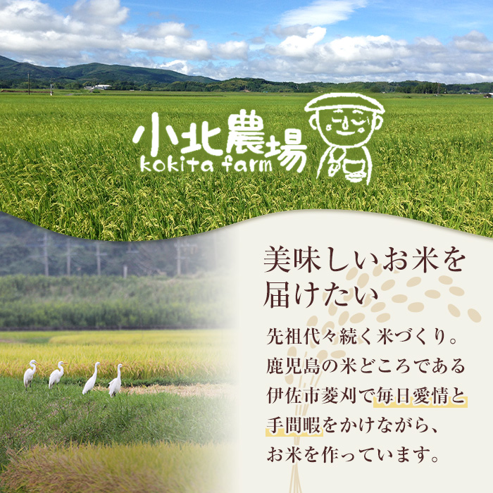 isa791 《数量限定・3回定期便》令和7年産 小北農場のお米 伊佐黄金米〈ヒノヒカリ〉(計30kg・5kg×2袋×3回) 鹿児島 伊佐 お米 30kg 定期便 3回 特別栽培米 伊佐米 白米 ヒノヒカリ ひのひかり おにぎり ごはん  【小北農場】