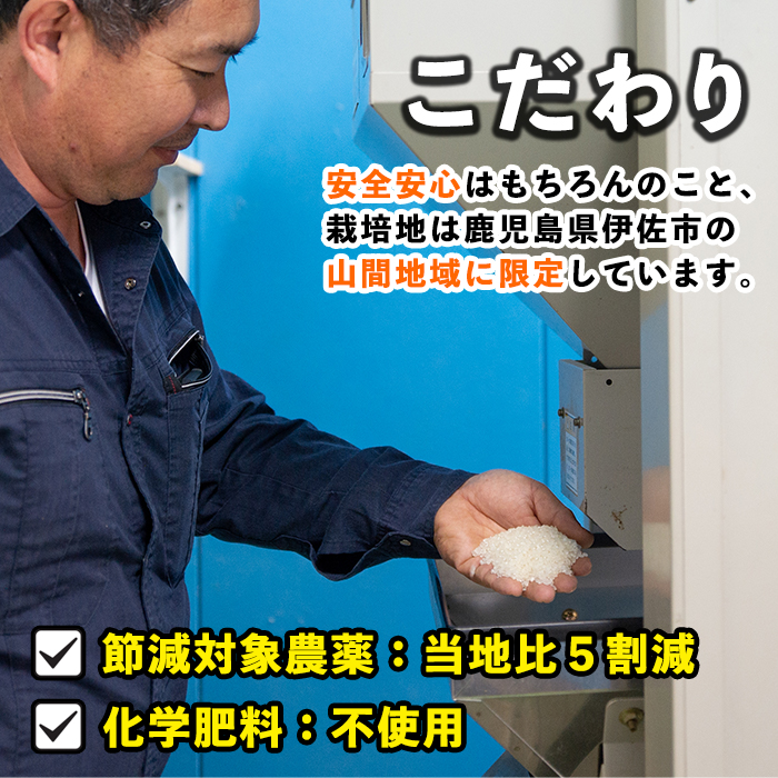 isa519-B 【定期便6回】 ＜無洗米＞令和5年産 鹿児島県伊佐産あきほなみ (合計60kg・計10kg×6ヵ月)【Farm-K】