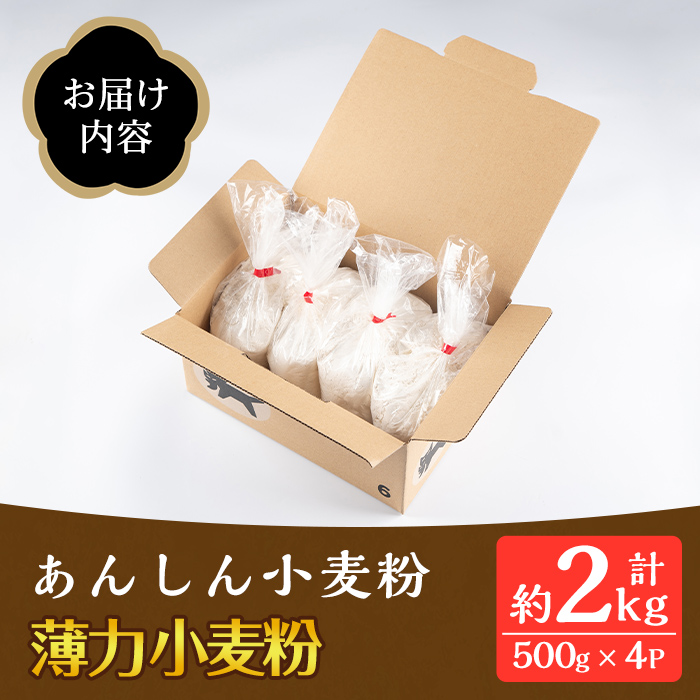 isa480《毎月数量限定》あんしん小麦粉・薄力粉(約500g×4袋・計約2kg）【しげふみファーム】