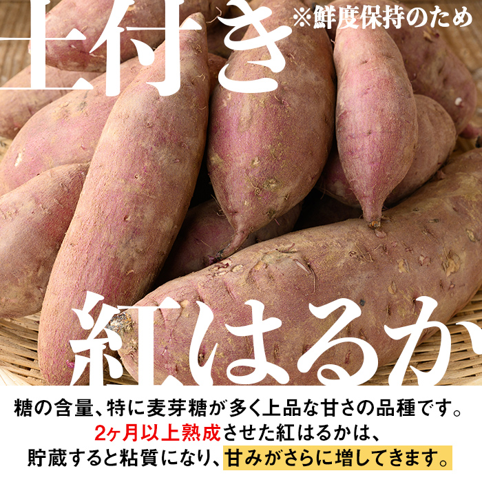 isa521 《訳あり》熟成紅はるか(約5kg・SS〜LLサイズ混合) 【いさ工房】