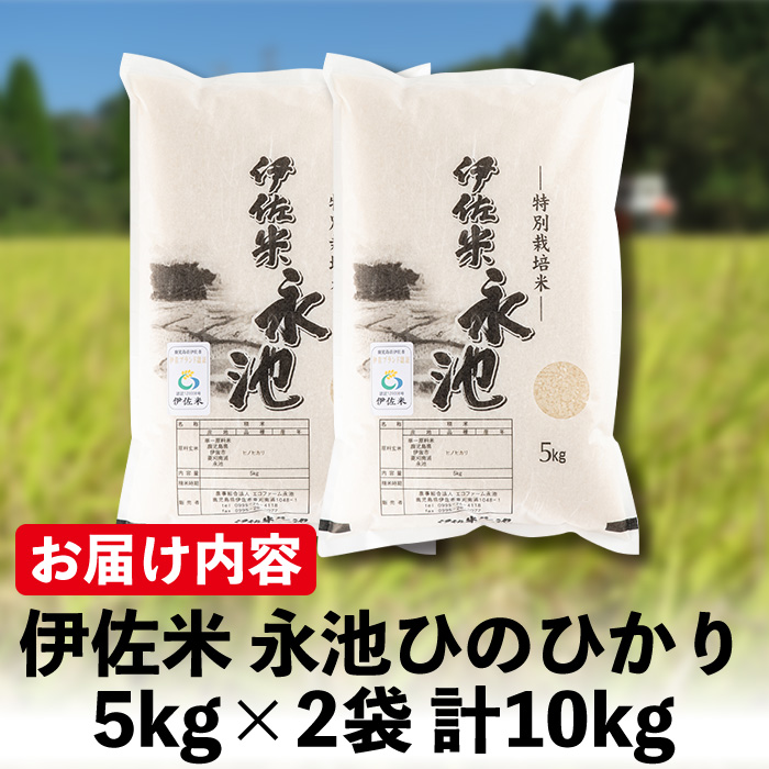 A4-06 令和5年産 特別栽培米 永池ひのひかり(計10kg・5kg×2袋)【エコファーム永池】