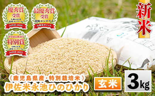 isa535 令和6年産 新米 特別栽培米 永池ひのひかり玄米(3kg)【エコファーム永池】