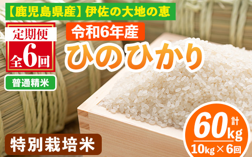 isa517-A 【定期便6回】 ＜普通精米＞令和6年産 鹿児島県伊佐産 特別栽培ひのひかり(計60kg・10kg×6ヵ月)【Farm-K】