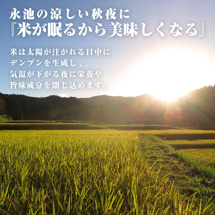 isa540 【定期便】令和5年産 特別栽培米 伊佐米永池ひのひかり(計15kg・5kg×3ヶ月)【エコファーム永池】