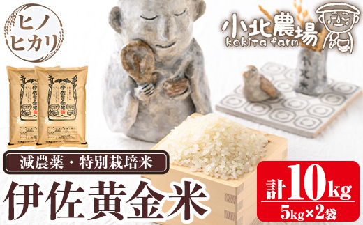 isa600 《数量限定》令和7年産 小北農場のお米 伊佐黄金米〈ヒノヒカリ〉(10kg) 鹿児島 伊佐 お米 特別栽培米 伊佐米 白米 ヒノヒカリ ひのひかり おにぎり ごはん 【小北農場】