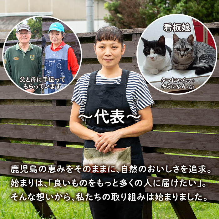 isa549 手作りはちみつ入り日向夏マーマレード(計6個・各140g)日向夏の果肉が入った低糖のハンドメイドジャム【薩摩美食倶楽部】