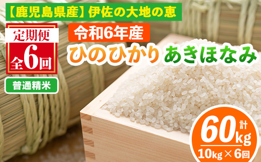 isa518-A 【定期便6回】 ＜普通精米＞令和6年産 鹿児島県伊佐南浦産 ひのひかり5kg・あきほなみ5kg (合計60kg・計10kg×6ヵ月)【Farm-K】