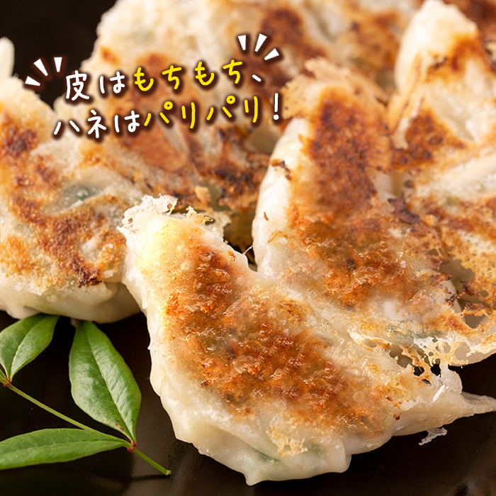 isa781 黒豚にんにく餃子(計152個・8個入り×19P) 鹿児島 生餃子 ギョウザ 黒豚 豚肉 冷凍食品 おかず おつまみ 惣菜 小分け 焼くだけ 簡単調理 冷凍便 【工房ゆう】