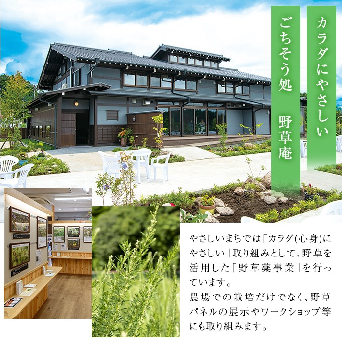 isa749 野草庵オリジナル 薬膳コーラシロップ・薬膳ジンジャーシロップセット(各200ml×1本) 薬膳コーラ 薬膳ジンジャー コーラシロップ ジンジャーシロップ 薬膳ドリンク クラフトコーラ ジンジャーエール 健康 美容 スパイス 【やさしいまち】