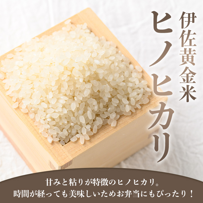 isa793 《数量限定・12回定期便》令和7年産 小北農場のお米 伊佐黄金米〈ヒノヒカリ〉(計120kg・5kg×2袋×12回) 鹿児島 伊佐 お米 120kg 定期便 12回 特別栽培米 伊佐米 白米 ヒノヒカリ ひのひかり おにぎり ごはん  【小北農場】