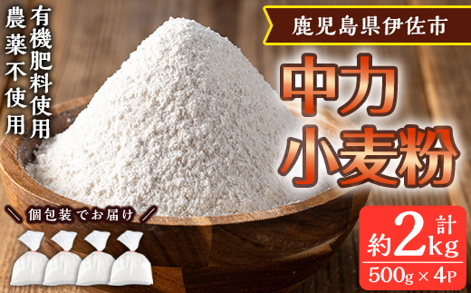 isa479《毎月数量限定》あんしん小麦粉・中力粉(約500g×4袋・計約2kg）【しげふみファーム】