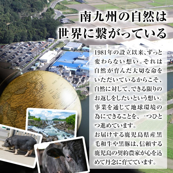 isa694 黒毛和牛切り落とし (合計600g・300g×2P) 国産 真空包装 真空パック ファスナー 小分け 切落とし 牛 うし 牛肉 アウトドア BBQ 冷凍 【サンキョーミート株式会社】