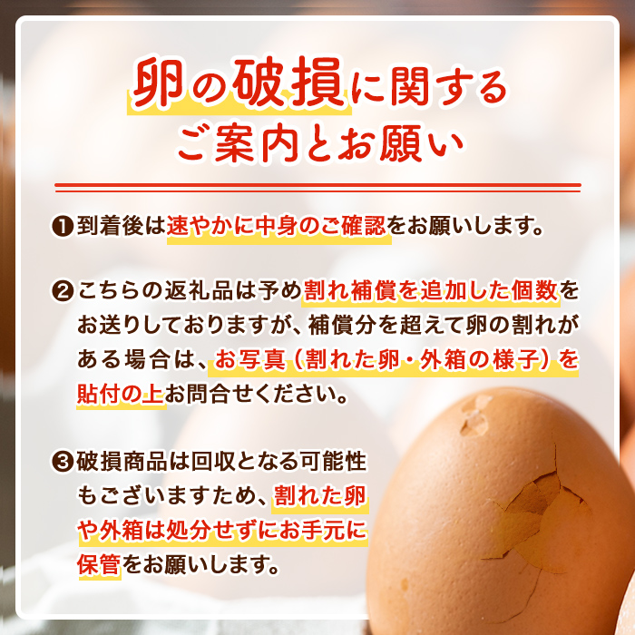 isa317 《訳あり・毎月数量限定》いちき農園のこだわり卵(計30個・15個入り×2パック) 平飼い 鶏 たまご 低コレステロール 抗生物質不使用 卵かけご飯 TKG 訳あり【いちき農園】