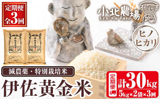 isa791 《数量限定・3回定期便》令和7年産 小北農場のお米 伊佐黄金米〈ヒノヒカリ〉(計30kg・5kg×2袋×3回) 鹿児島 伊佐 お米 30kg 定期便 3回 特別栽培米 伊佐米 白米 ヒノヒカリ ひのひかり おにぎり ごはん  【小北農場】