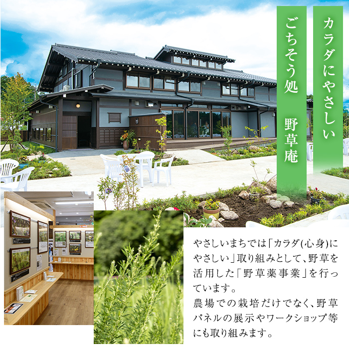 isa842 からだにやさしいティータイム(合計7種) 鹿児島 お茶 健康茶 茶 ティー ハーブティー よもぎ メドハギ クチナシ 飴 シフォンケーキ 薬草 お菓子セット 詰め合わせ 【やさしいまち】