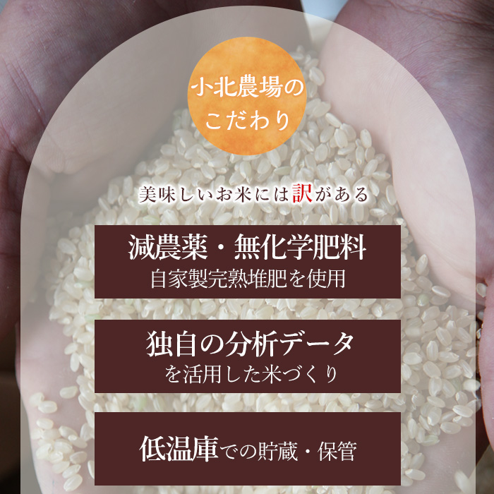 isa792 《数量限定・6回定期便》令和7年産 小北農場のお米 伊佐黄金米〈ヒノヒカリ〉(計60kg・5kg×2袋×6回) 鹿児島 伊佐 お米 60kg 定期便 6回 特別栽培米 伊佐米 白米 ヒノヒカリ ひのひかり おにぎり ごはん  【小北農場】