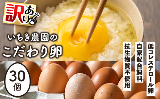 isa317 《訳あり・毎月数量限定》いちき農園のこだわり卵(計30個・15個入り×2パック) 平飼い 鶏 たまご 低コレステロール 抗生物質不使用 卵かけご飯 TKG 訳あり【いちき農園】