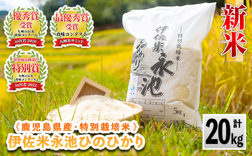 B8-05 令和6年産 新米 特別栽培米 永池ひのひかり(計20kg・5kg×4袋)【エコファーム永池】