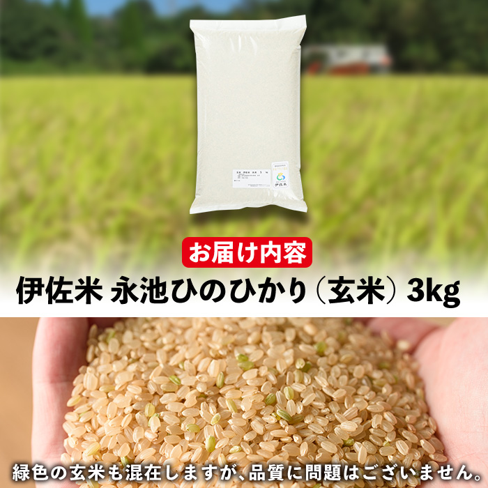 isa535 令和5年産 特別栽培米 永池ひのひかり玄米(3kg)【エコファーム永池】