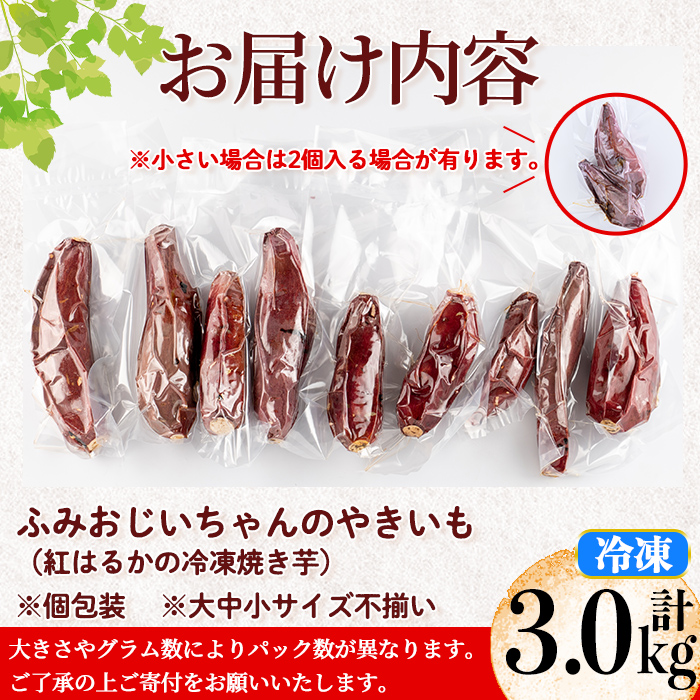 isa741 ＜予約受付中！2025年12月発送分(12月中に発送)＞ふみおじいちゃんのやきいも(紅はるか・計3.0kg) 冷凍 パック 小分け サツマイモ 焼き芋 天然スイーツ 焼芋 紅はるか 【いさ工房】