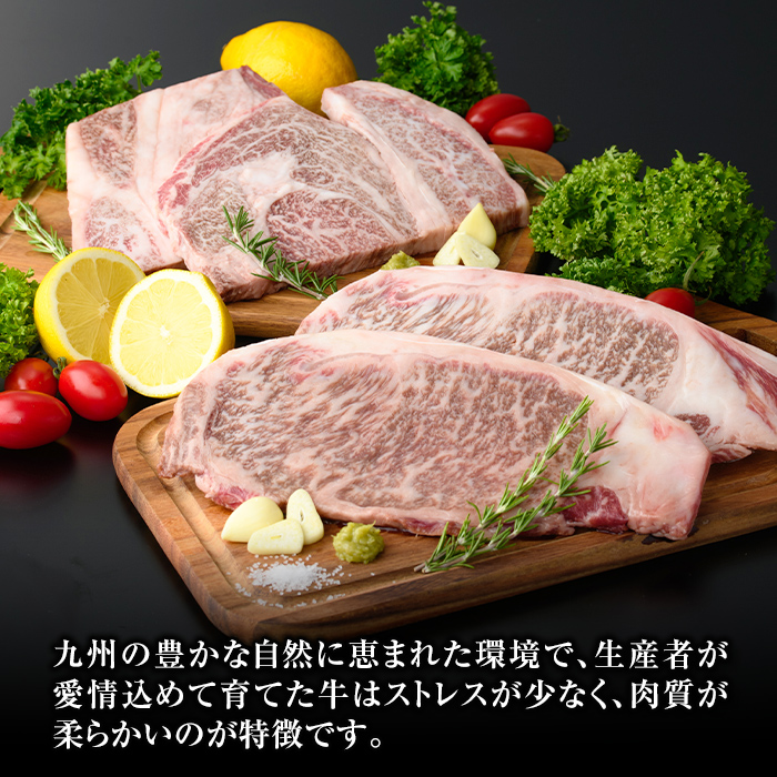 isa611 黒毛和牛ステーキ肉高級部位2種〈リブロース・サーロイン〉食べ比べ(合計900g) 真空包装 真空パック リブロース サーロイン ステーキ 牛 うし 牛肉 アウトドア 食べ比べ BBQ 冷凍 【サンキョーミート株式会社】