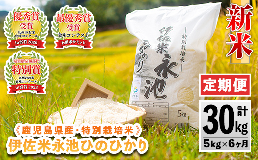 D2-04 【定期便】令和6年産 新米 特別栽培米 伊佐米永池ひのひかり(計30kg・5kg×6ヶ月)【エコファーム永池】