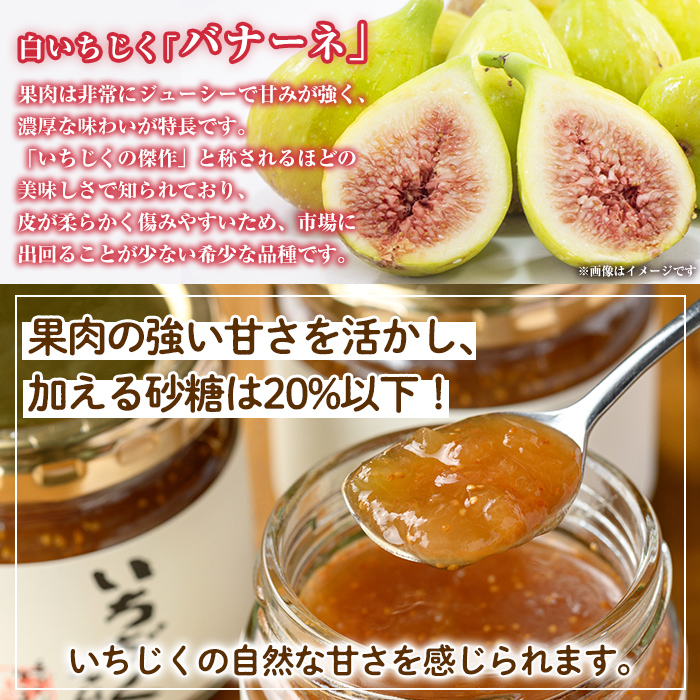 isa800 いちじくジャムセット(計900g・150g×6個) 無花果 白いちじく バナーネ バローネ 加工食品 果物 フルーツ 果肉 低糖 ハンドメイド 【工房ゆう】