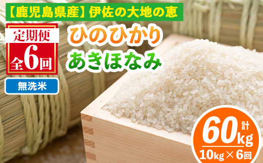 isa518-B 【定期便6回】 ＜無洗米＞令和7年産 鹿児島県伊佐南浦産 ひのひかり5kg・あきほなみ5kg (合計60kg・計10kg×6ヵ月) 国産 白米 精米 無洗米 伊佐米 お米 米 生産者 ひのひかり あきほなみ 定期便 【Farm-K】