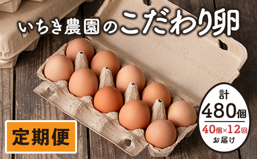 isa529 【定期便】いちき農園のこだわり卵(計480個・40個×12カ月)【いちき農園】